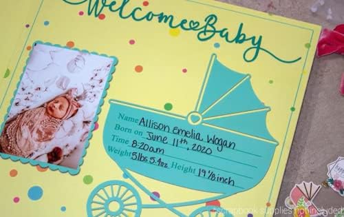 אלבום ספרי הזיכרון של השנה הראשונה של התינוק | נייטרלי מגדרי | דפים מעוצבים להפליא להריון/לידה - יום
